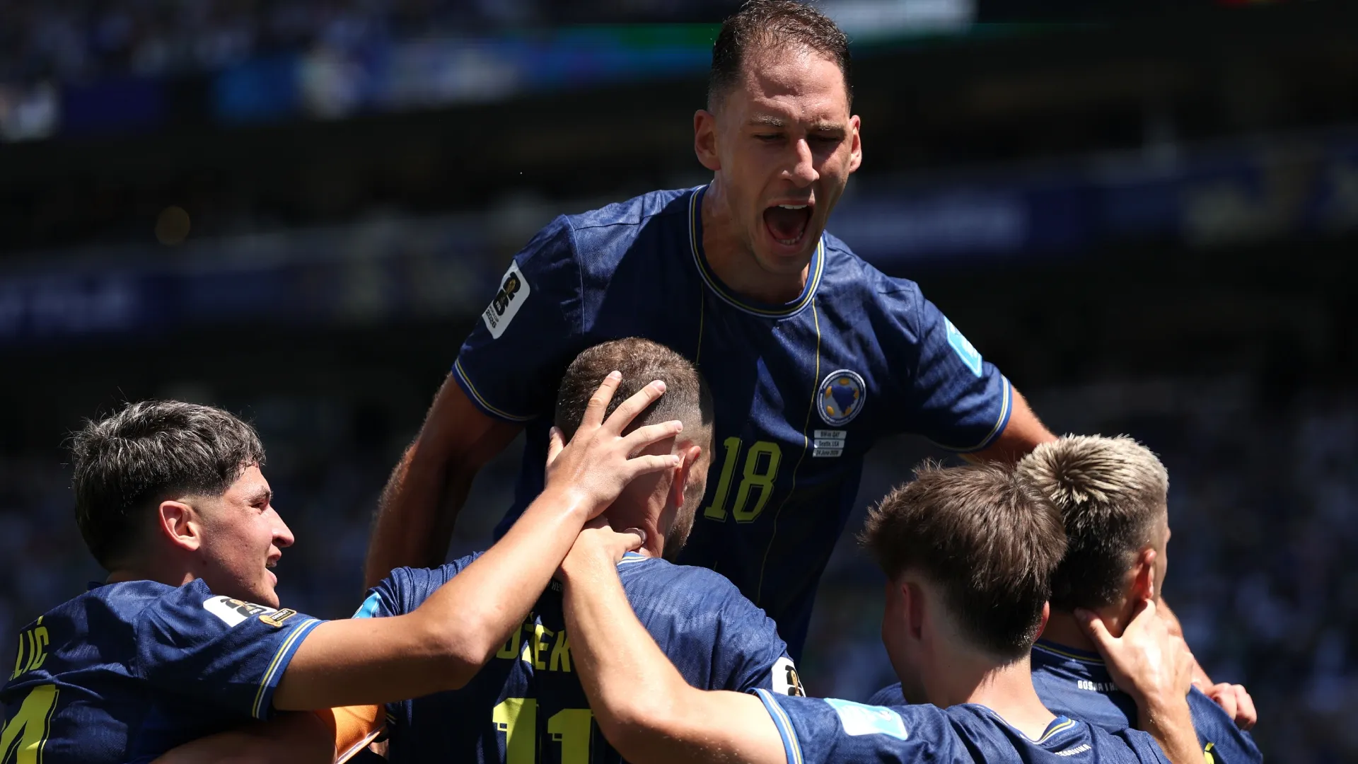 Bosnia and Herzegovina were third in their group (Stu Forster/Getty Images)