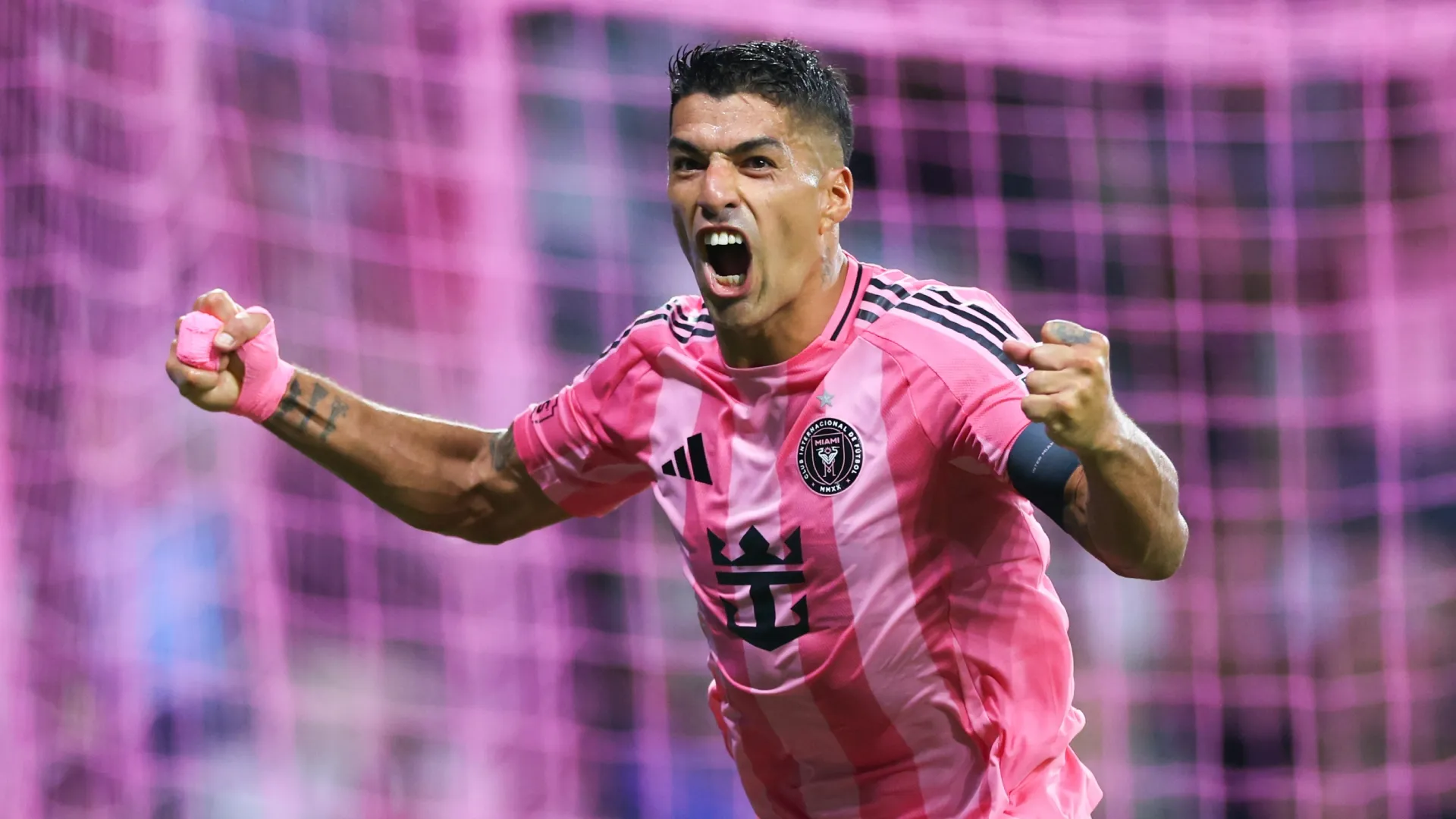 Luis Suárez #9 of Inter Miami celebrates Preston Plambeck's goal against Chicago Fire.